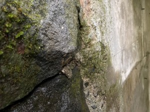 緑の村_別荘地_水道管理③_26