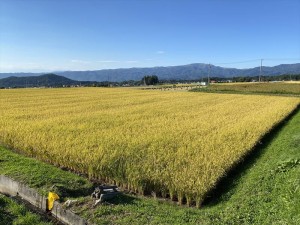 蓼科_田園風景2