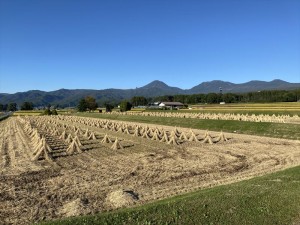 蓼科_田園風景6