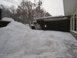 20221224リゾートメンテナンス雪①