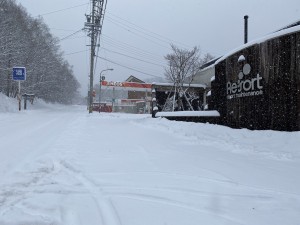 2/10蓼科エリア別荘地