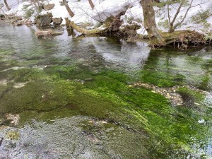 冬の上高地⑥