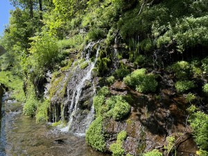 IMG_3128