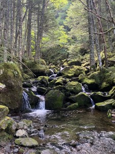 八ヶ岳～硫黄岳～1