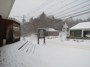 20240205雪3