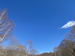 本日の青空