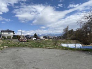 茅野市運動公園の桜1