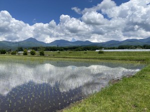八ヶ岳西麓の田園風景3