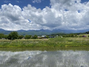 八ヶ岳西麓の田園風景4