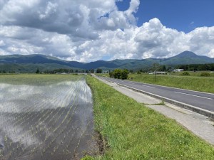 八ヶ岳西麓の田園風景6